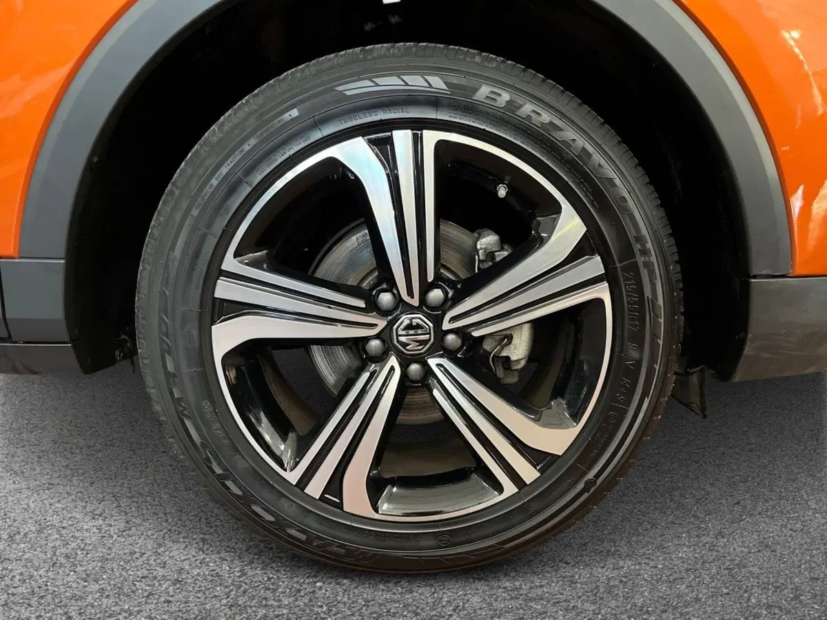 Mg ZS usata a Bari (6)
