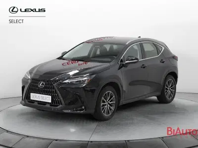 Lexus NX 350h 2.5 Business 4wd e-cvt del 2023 usata a Sesto Fiorentino