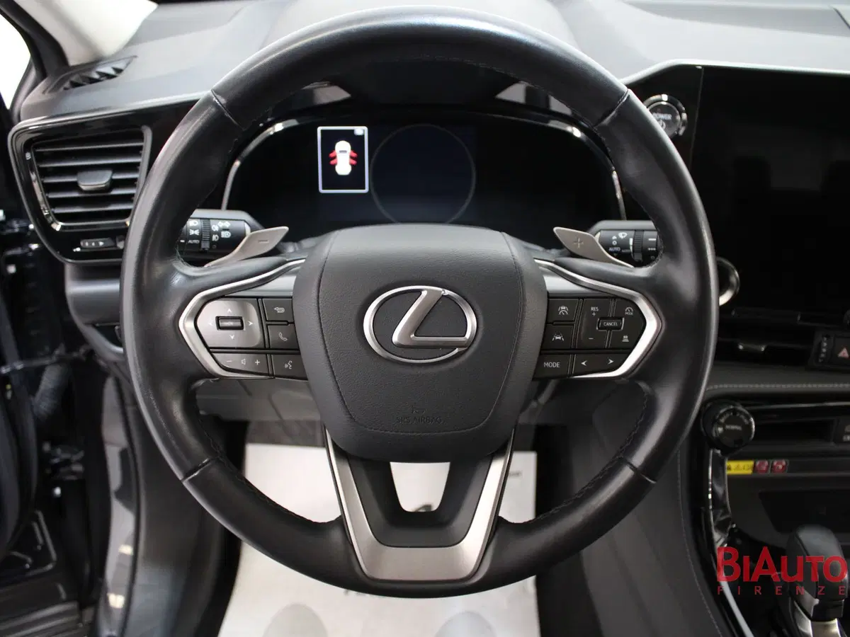 Lexus NX usata a Firenze (11)
