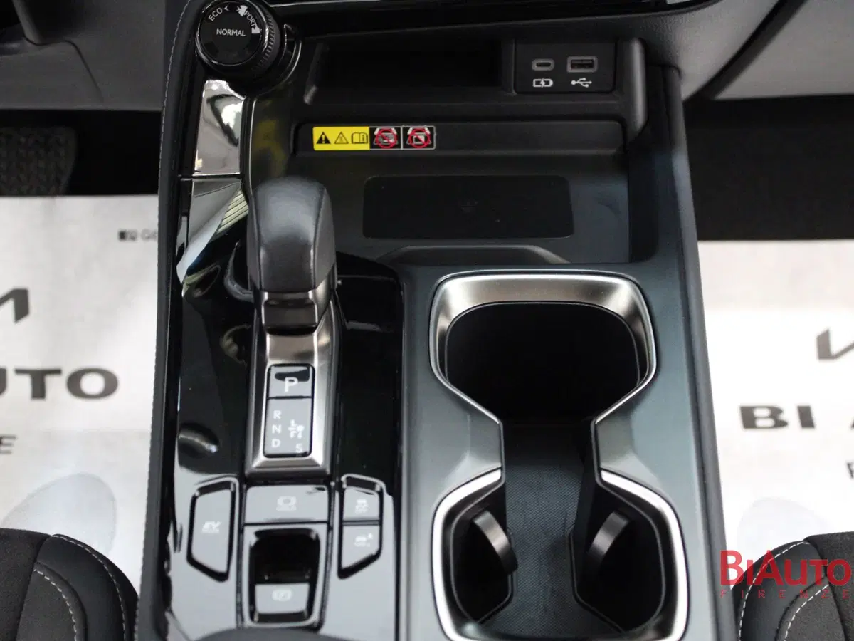 Lexus NX usata a Firenze (17)