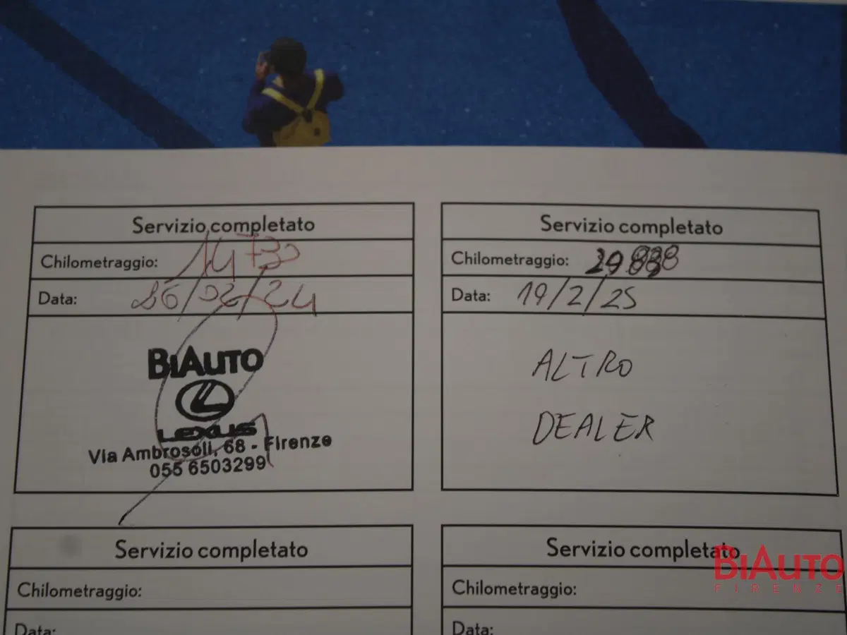 Lexus NX usata a Firenze (18)
