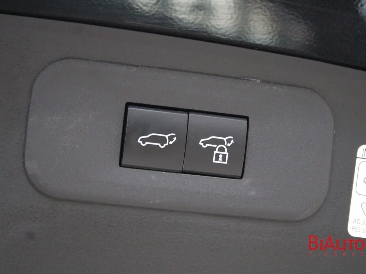 Lexus NX usata a Firenze (19)