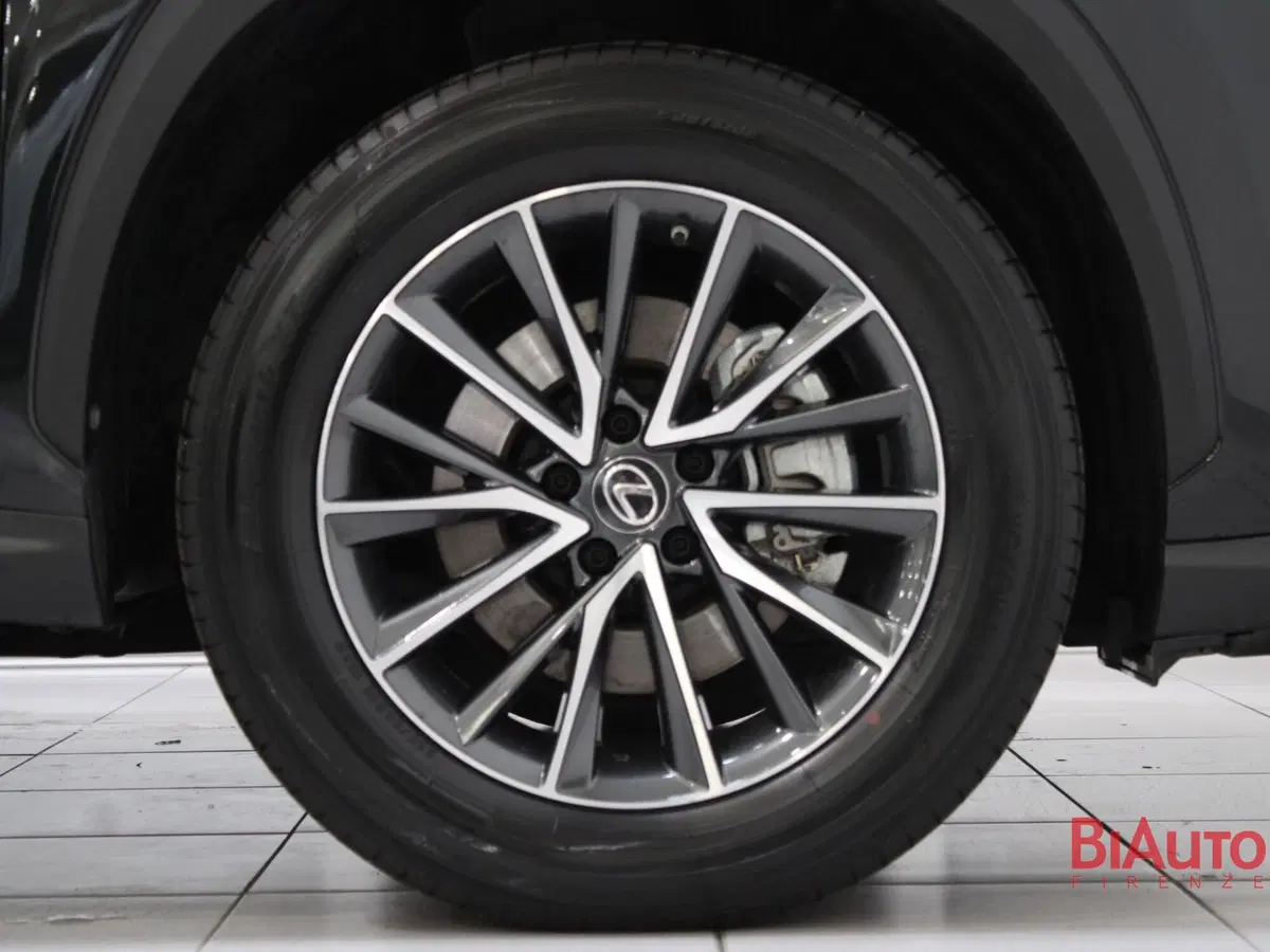 Lexus NX usata a Firenze (20)