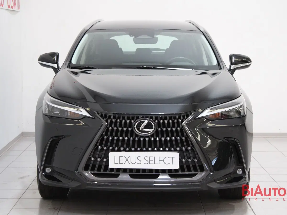 Lexus NX usata a Firenze (4)