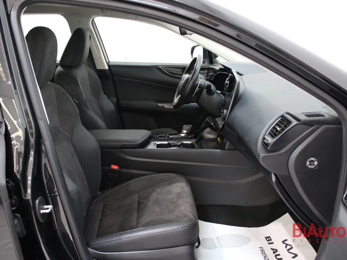 Lexus NX usata a Firenze (7)