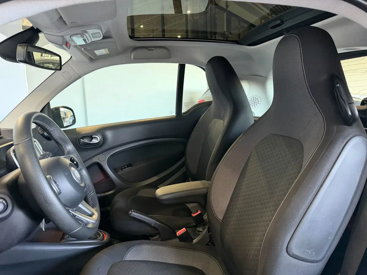 smart Fortwo usata a Monza e Brianza (12)
