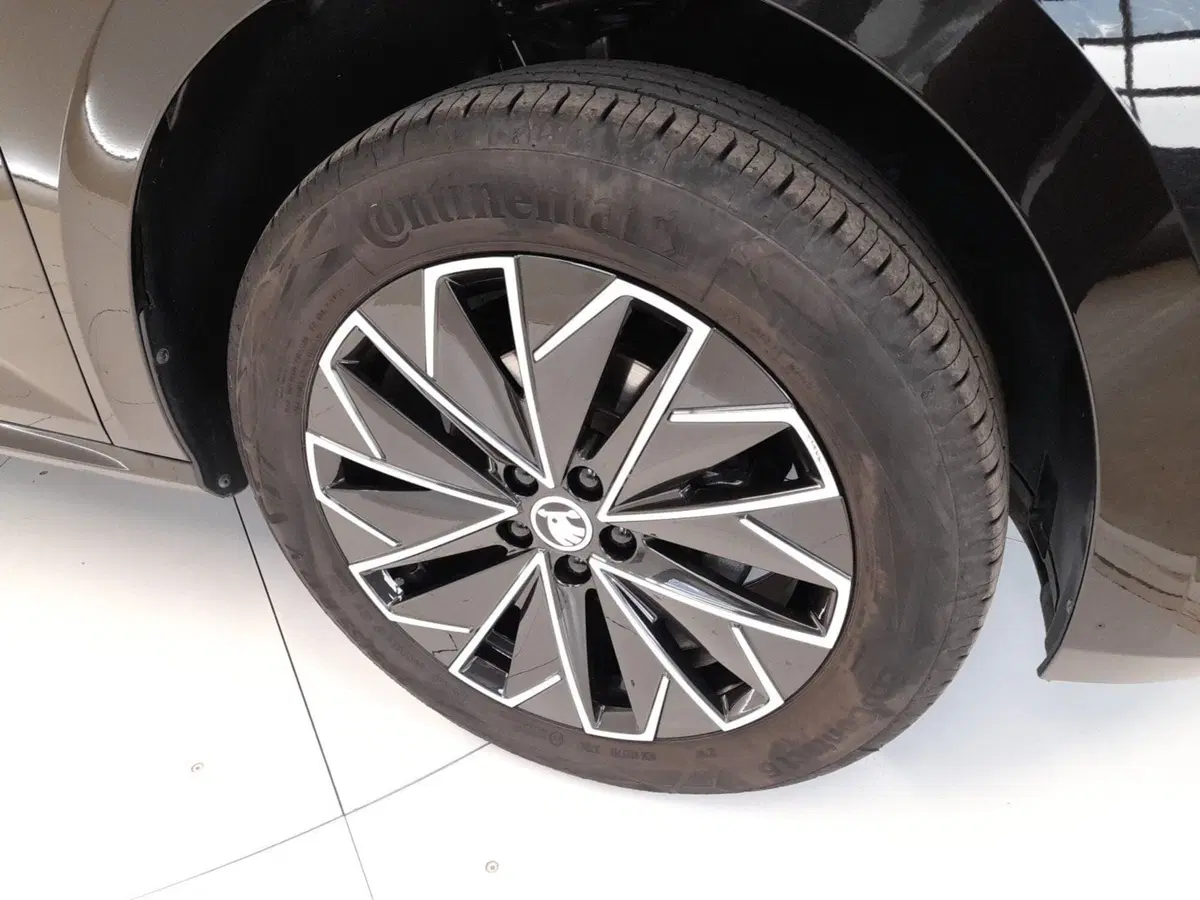 Skoda Kamiq usata a Bologna (7)