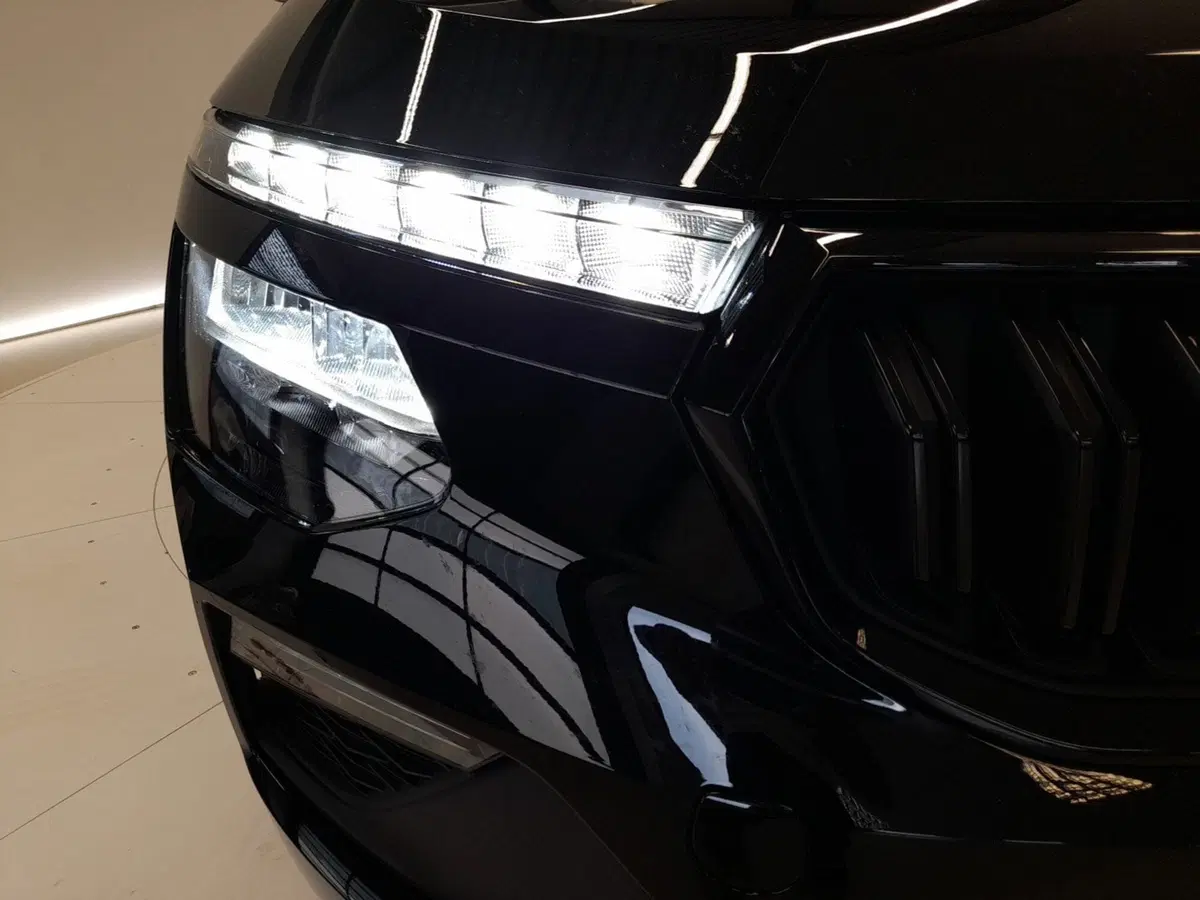 Skoda Kamiq usata a Bologna (8)
