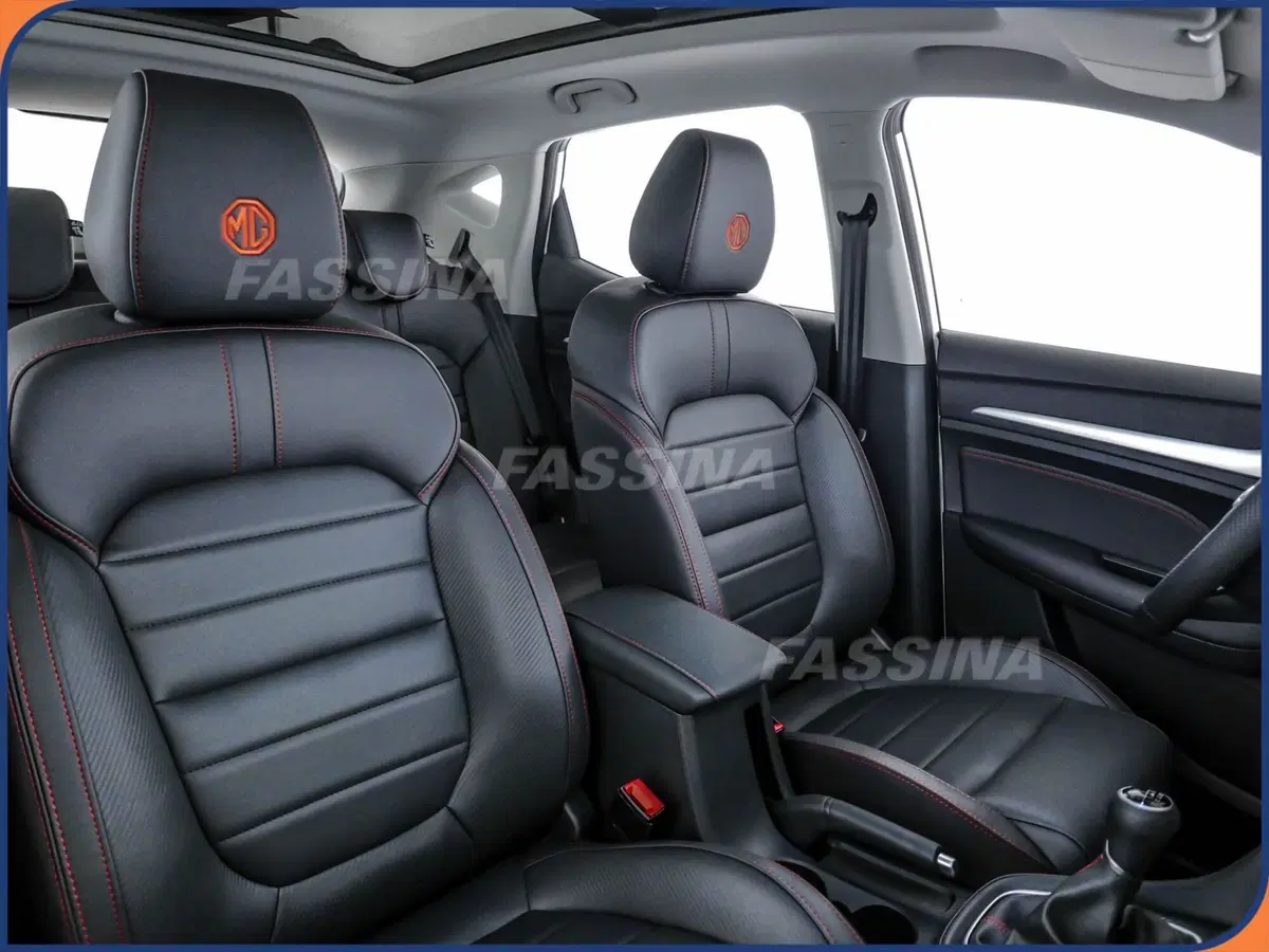 Mg ZS usata a Milano (13)