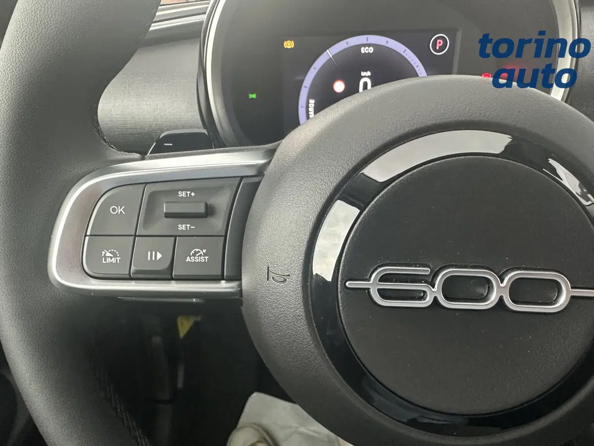 Fiat 600 nuova a Torino (16)