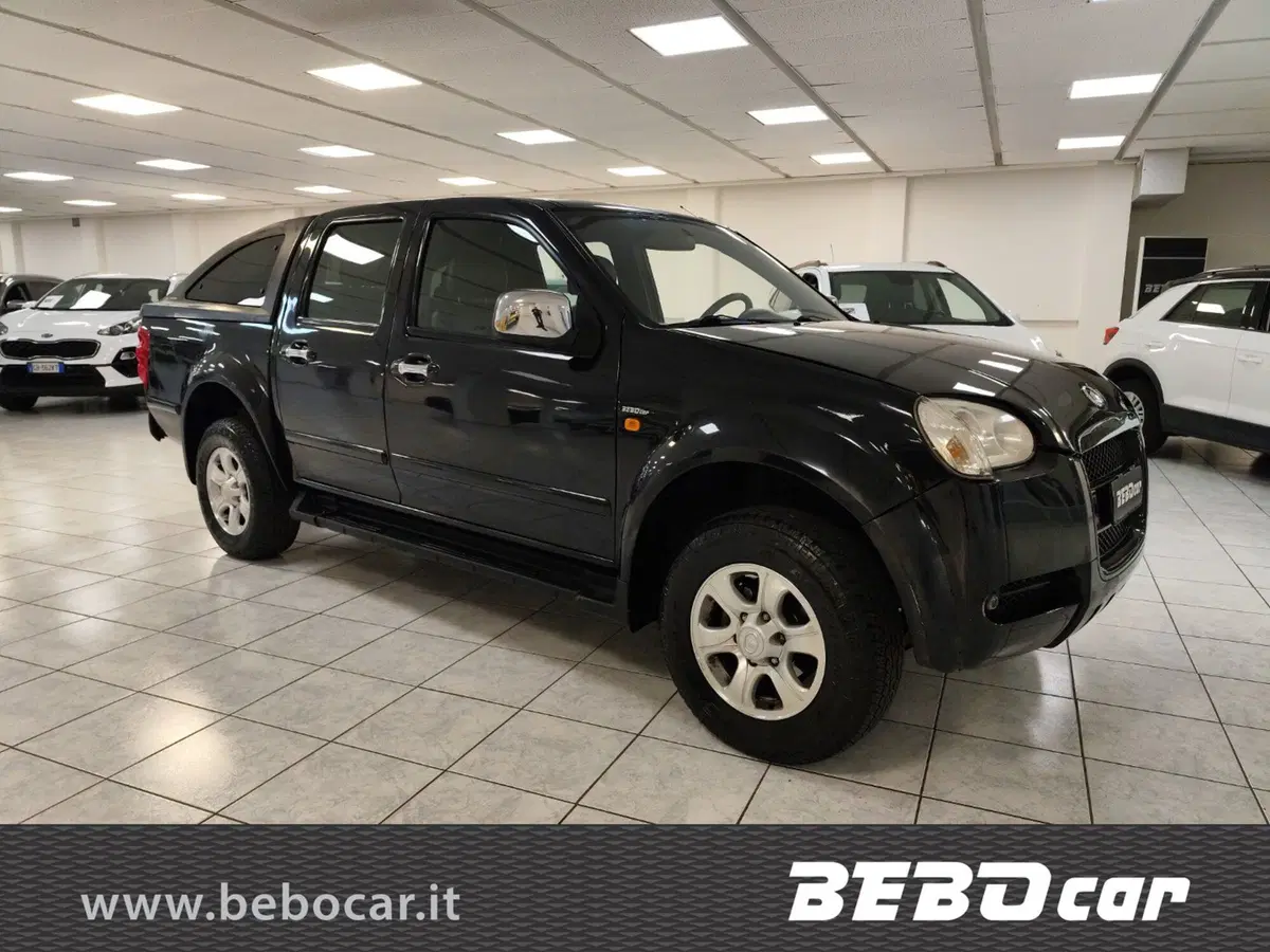 Great Wall Steed Pick-up usata a Torino (3)