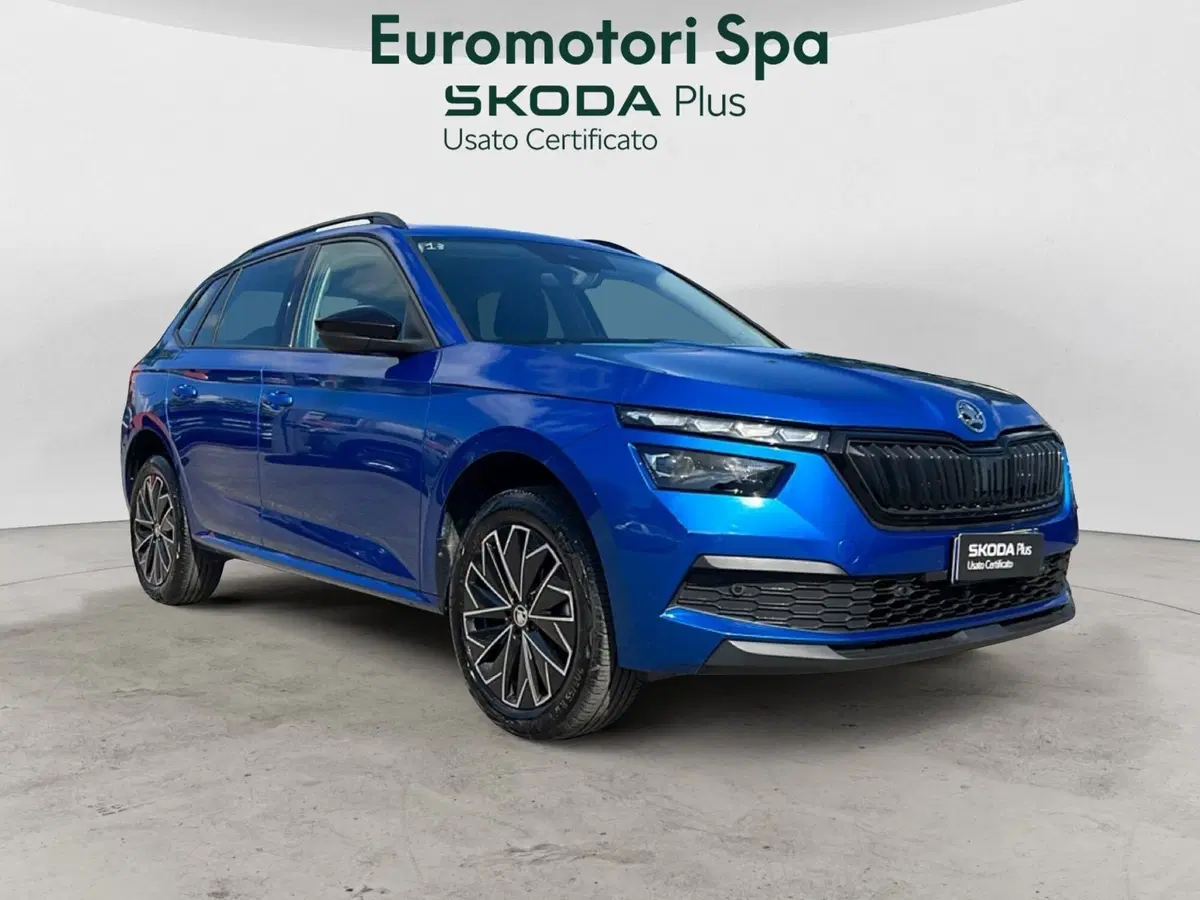 Skoda Kamiq usata a Grosseto (7)