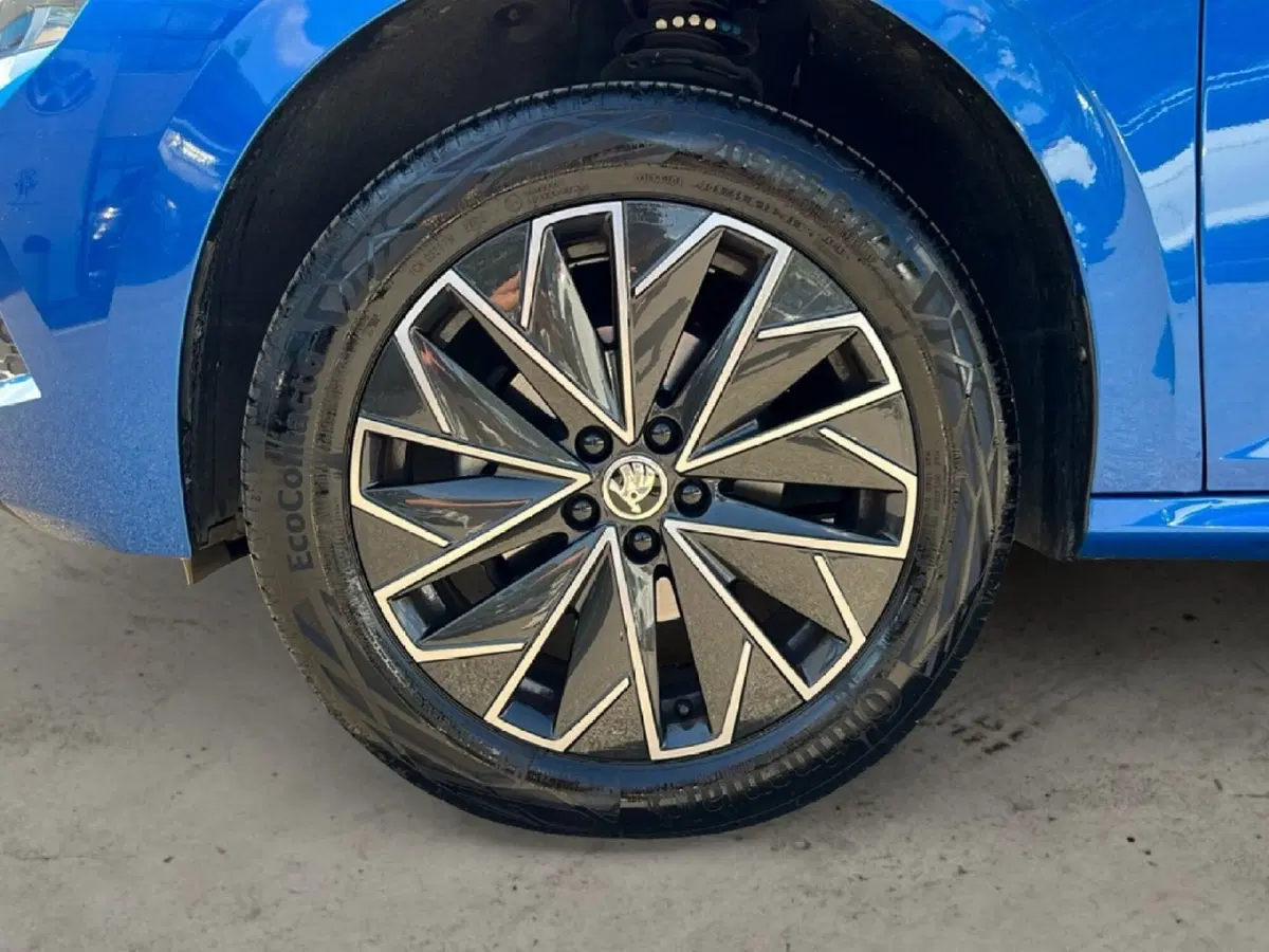 Skoda Kamiq usata a Grosseto (9)