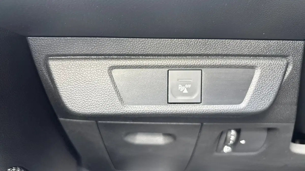 Dacia Sandero usata a Padova (15)