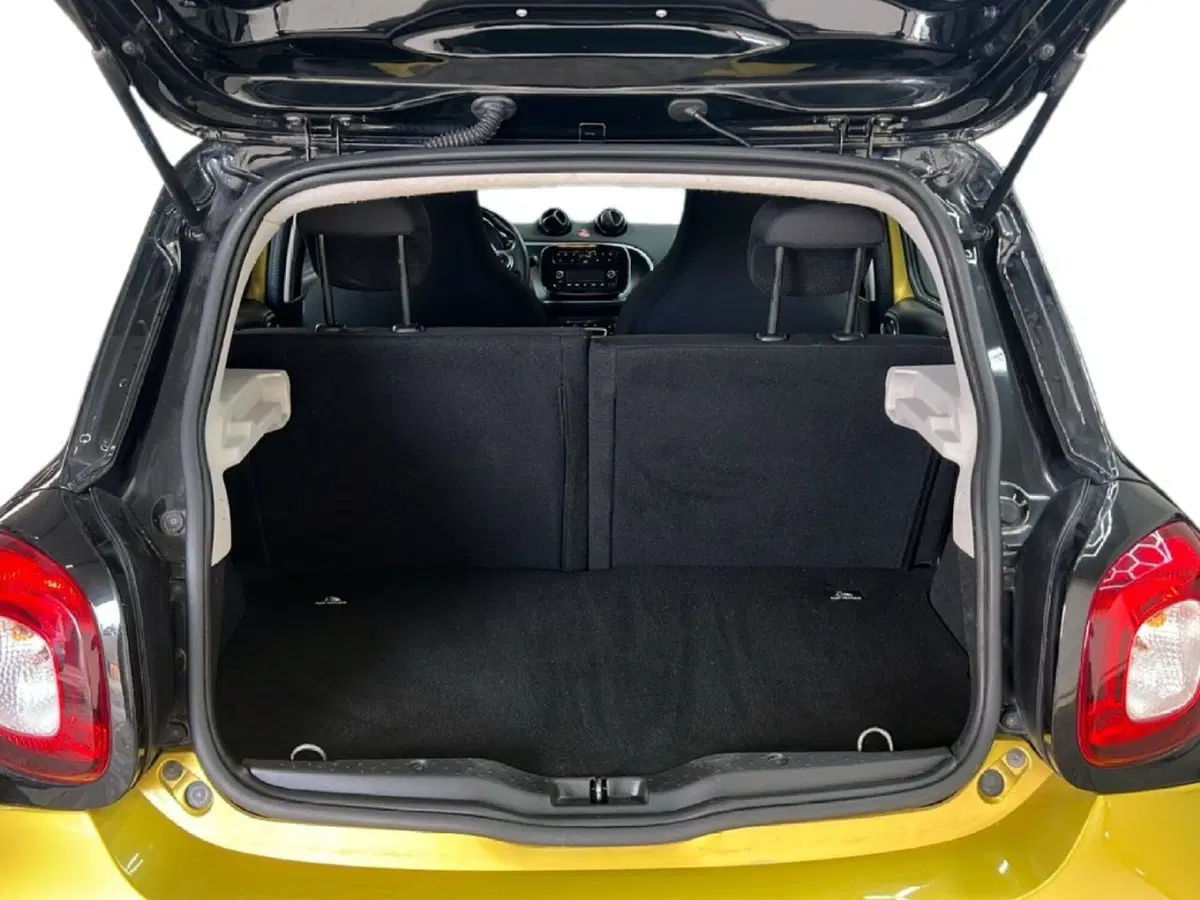 smart forfour usata a Roma (10)