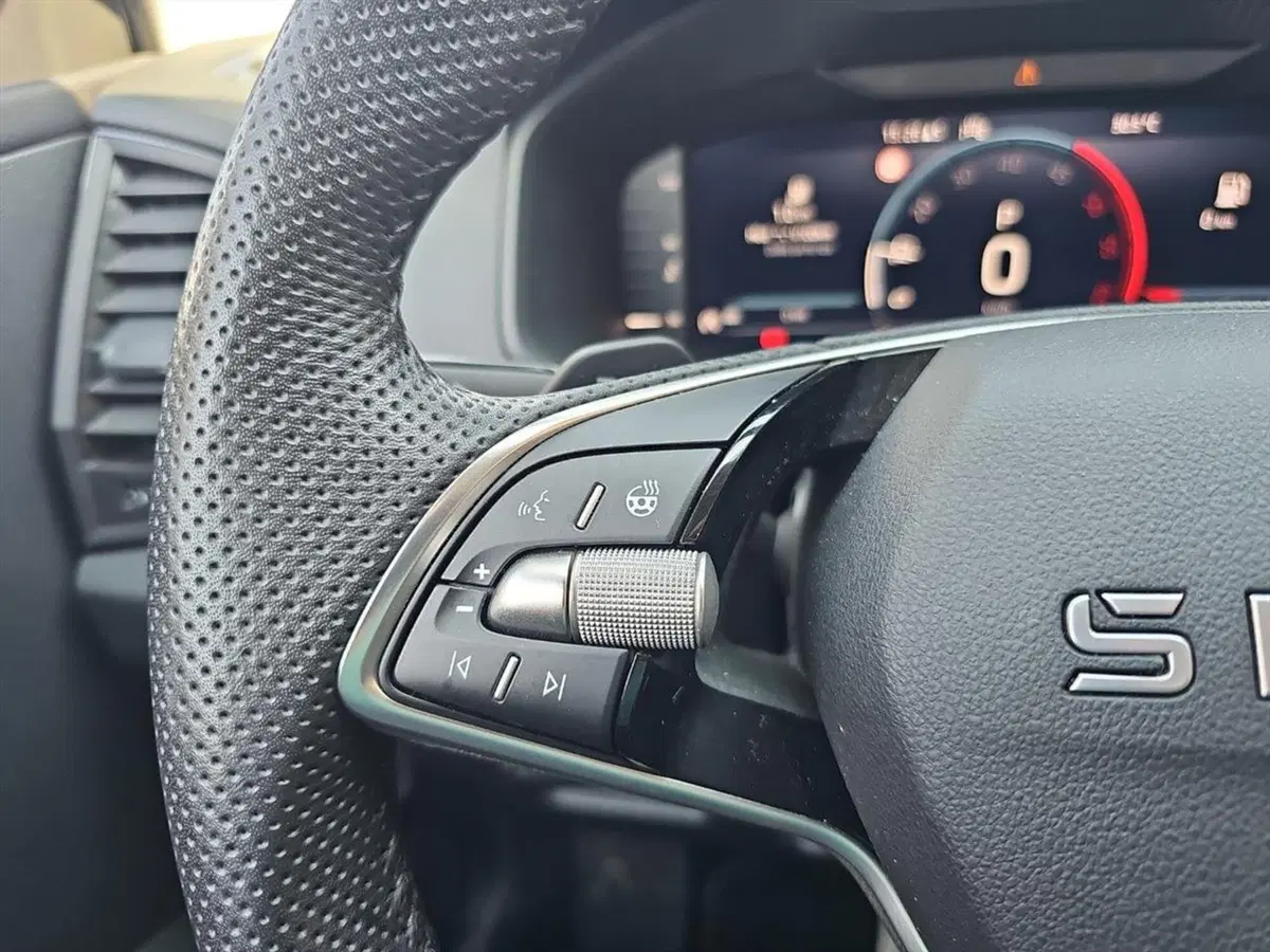 Skoda Karoq usata a Lecco (16)