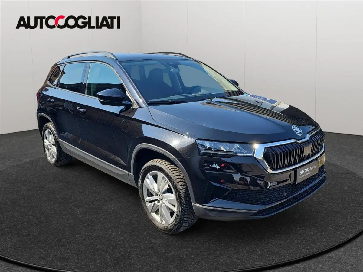 Skoda Karoq usata a Lecco (3)