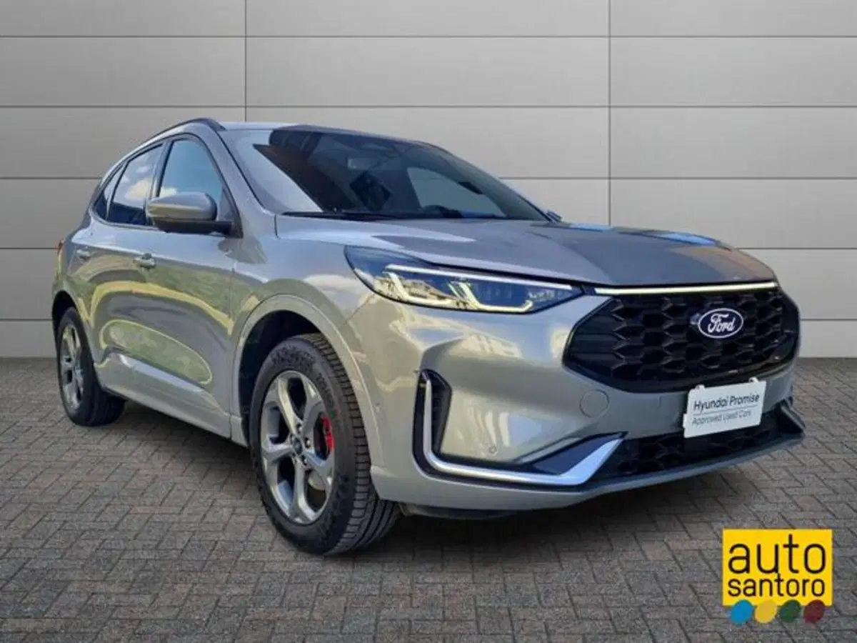 Ford Kuga usata a Salerno (2)