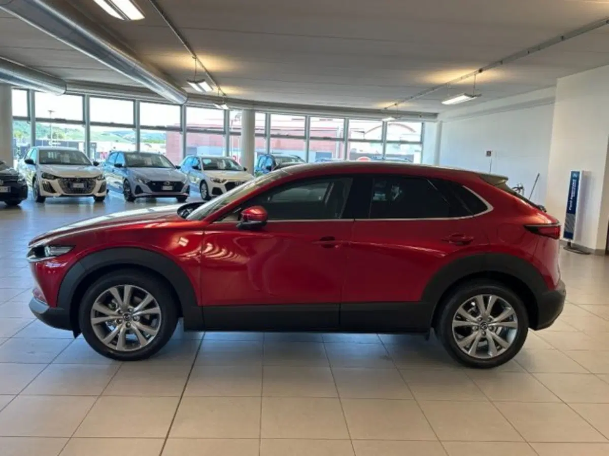 Mazda CX-30 nuova a Cuneo (4)