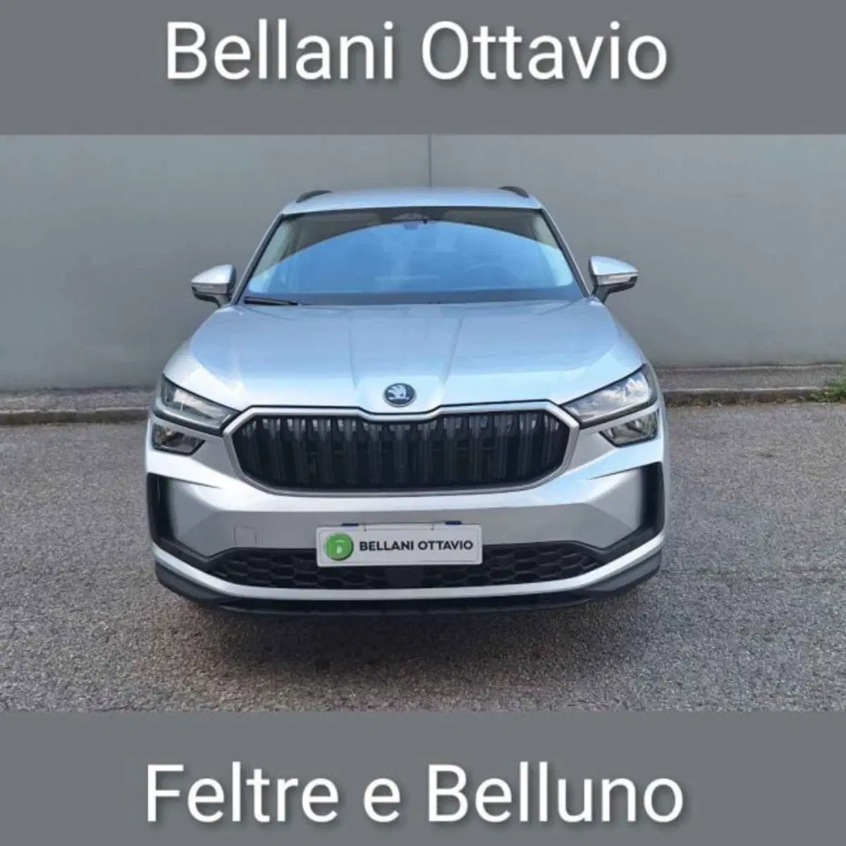 Skoda Kodiaq usata a Belluno (2)