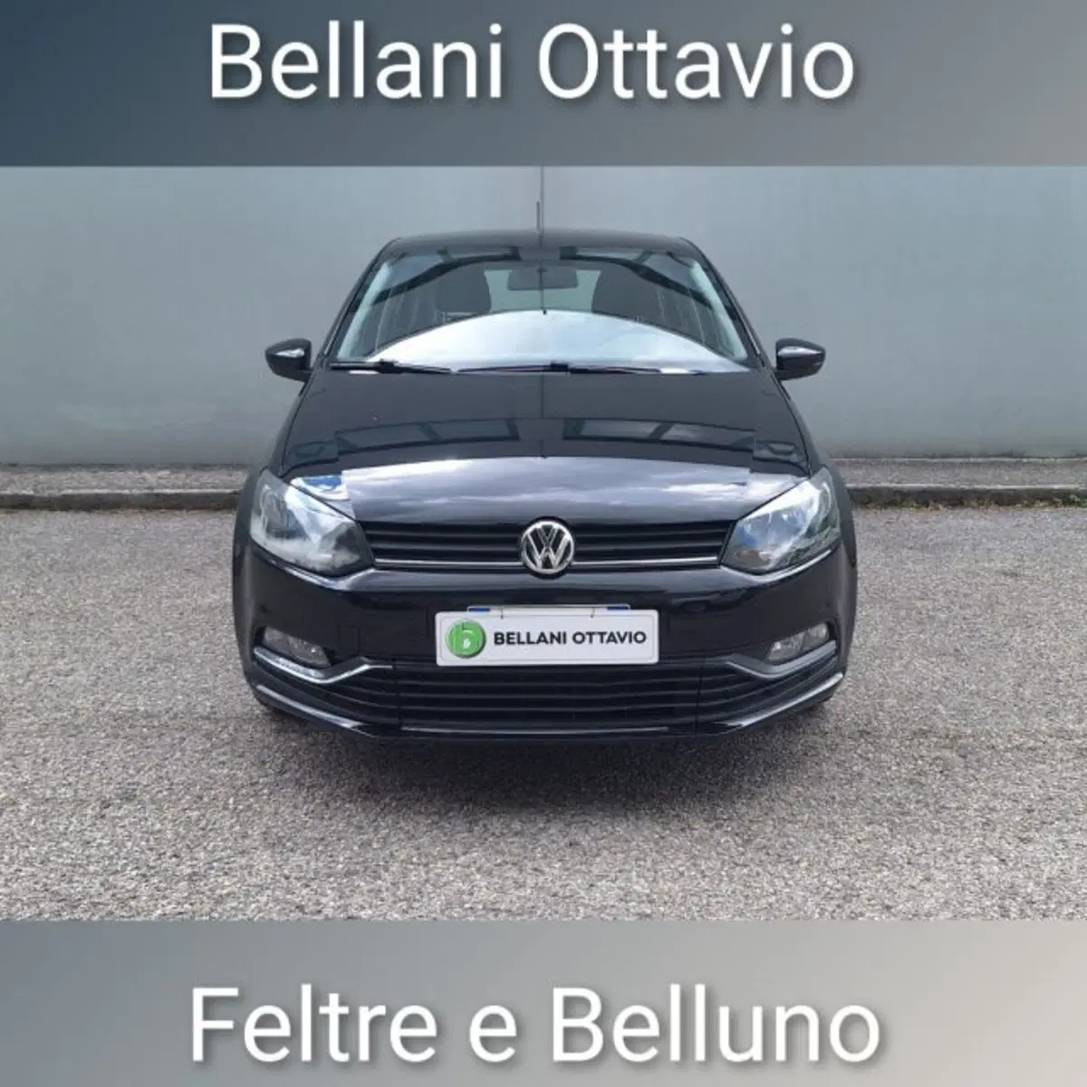 Volkswagen Polo usata a Belluno (2)