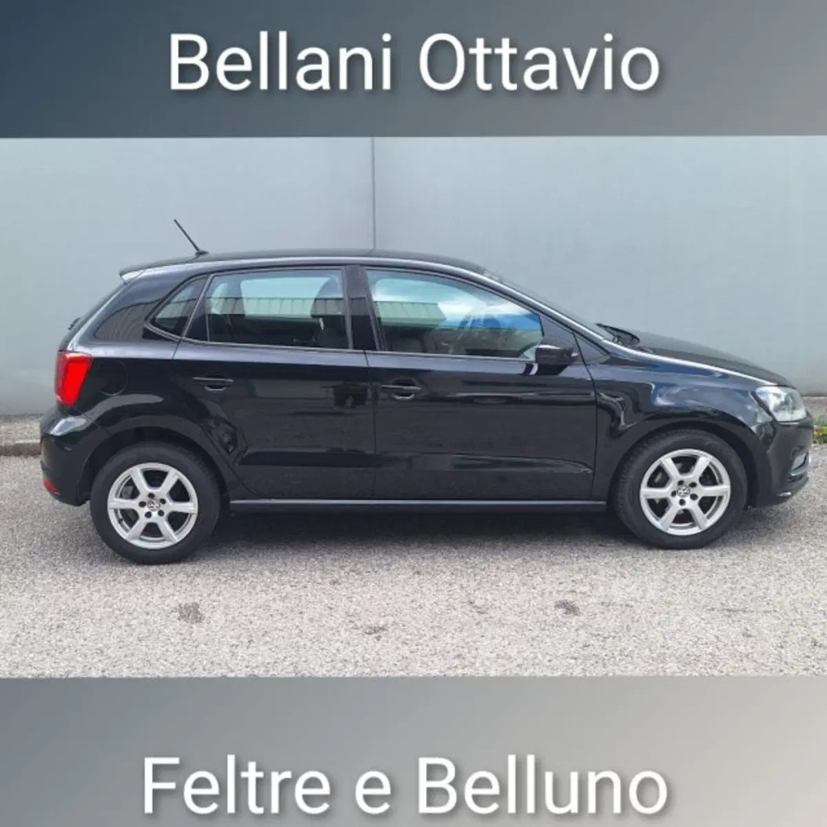 Volkswagen Polo usata a Belluno (3)