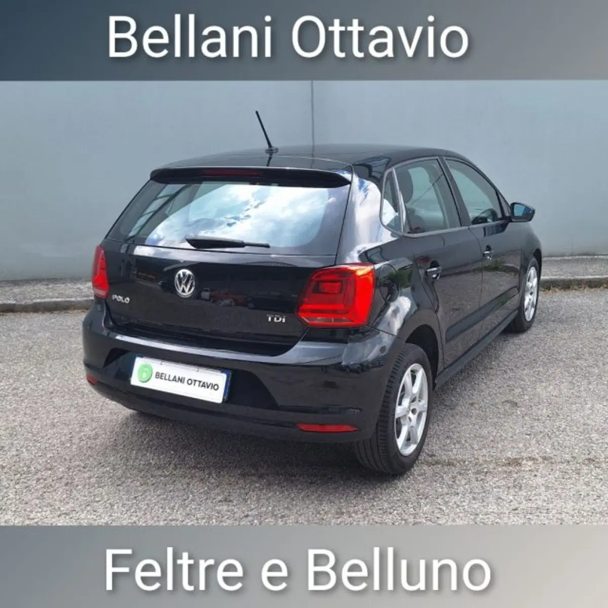 Volkswagen Polo usata a Belluno (6)
