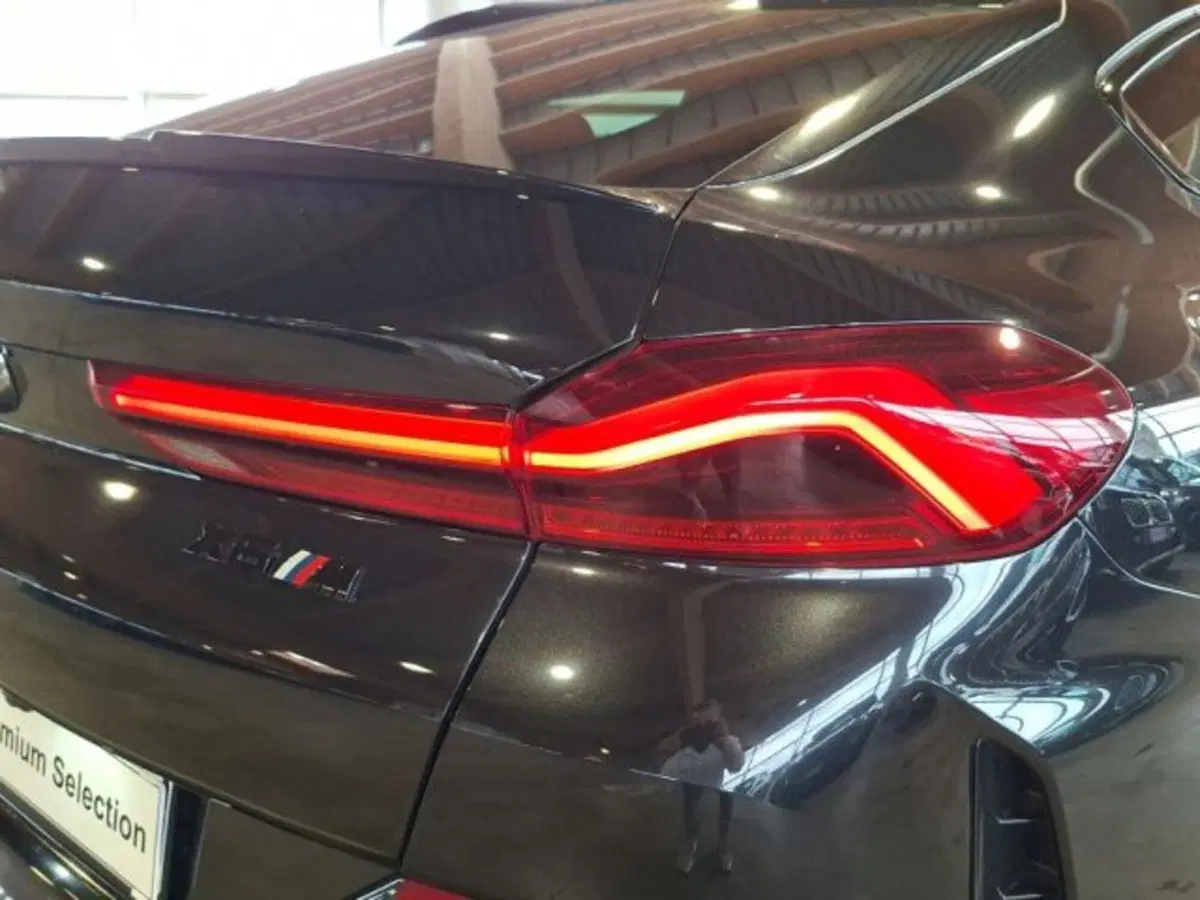 BMW X6 usata a Verona (7)