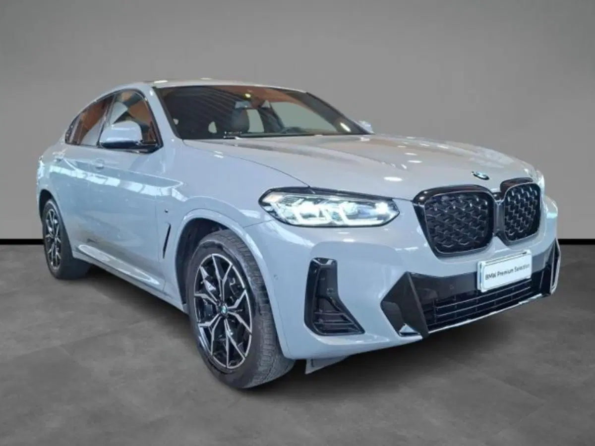 BMW X4 usata a Verona (15)