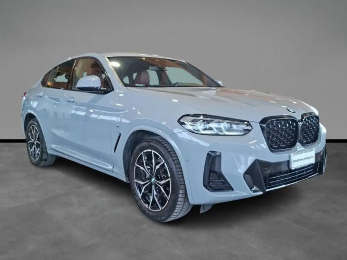 BMW X4 usata a Verona (15)