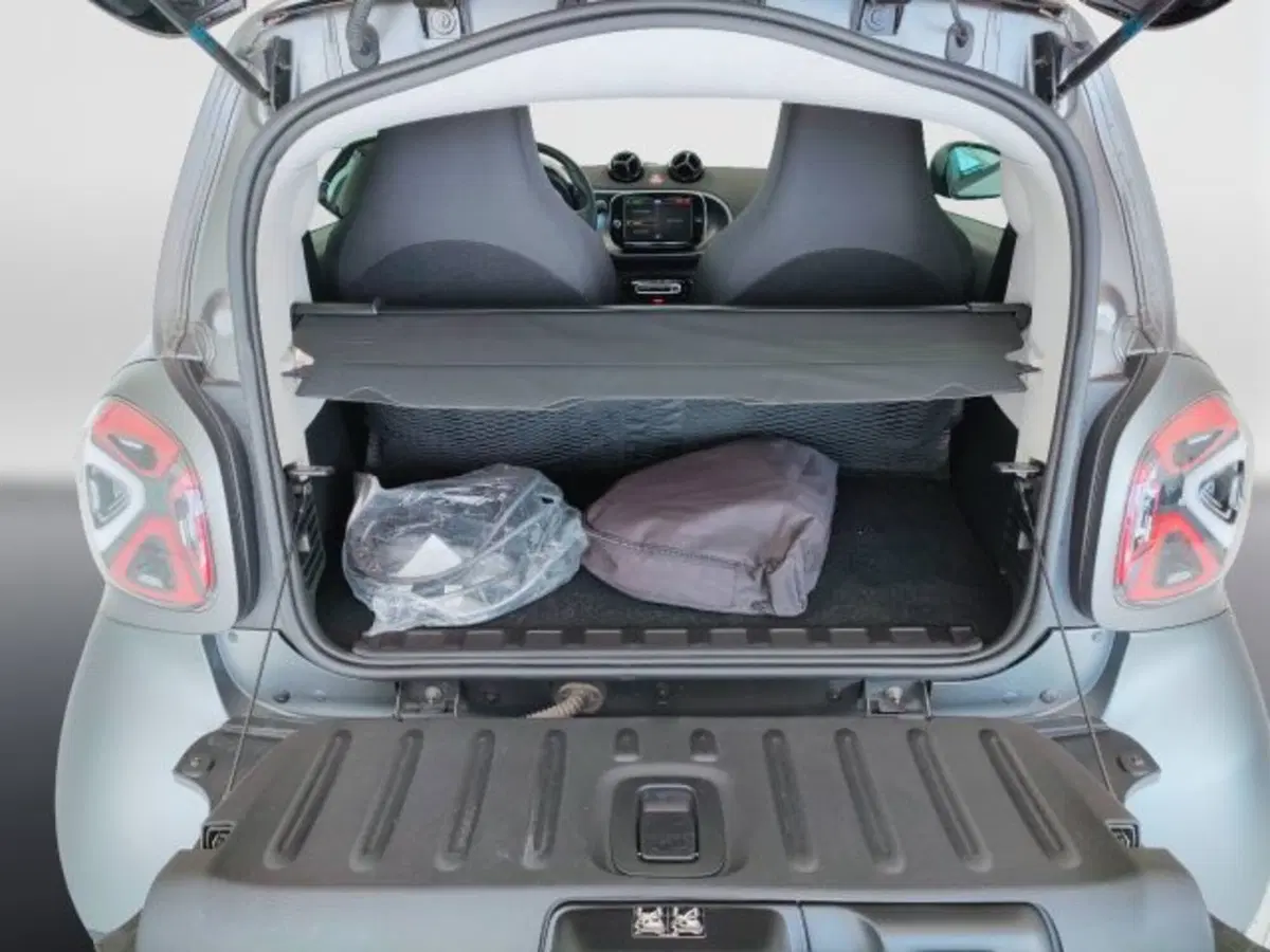 smart Fortwo usata a Teramo (13)
