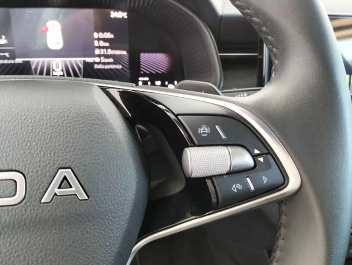 Skoda Kamiq usata a Como (10)