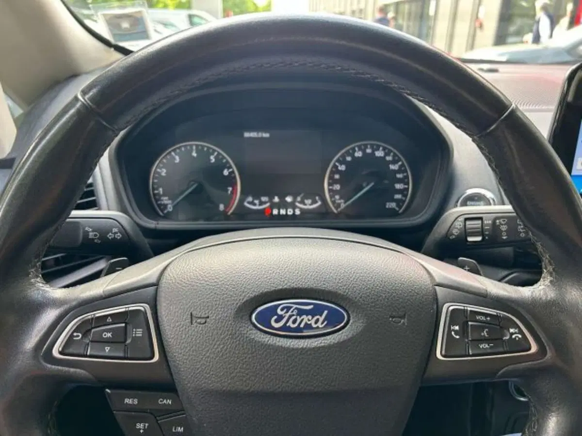 Ford EcoSport usata a Firenze (12)