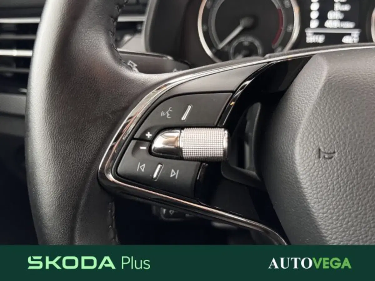 Skoda Kamiq usata a Vicenza (18)