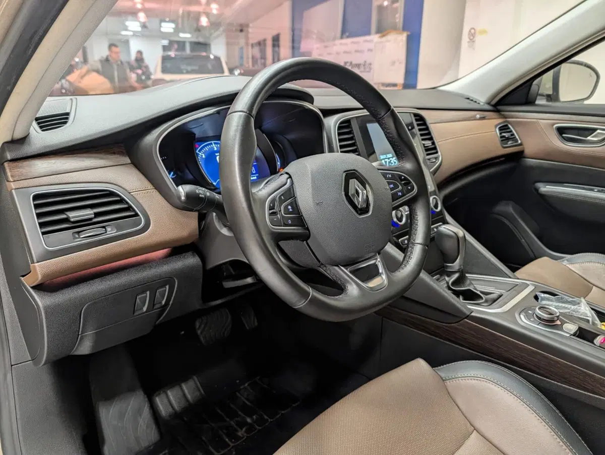 Renault Talisman usata a Teramo (11)
