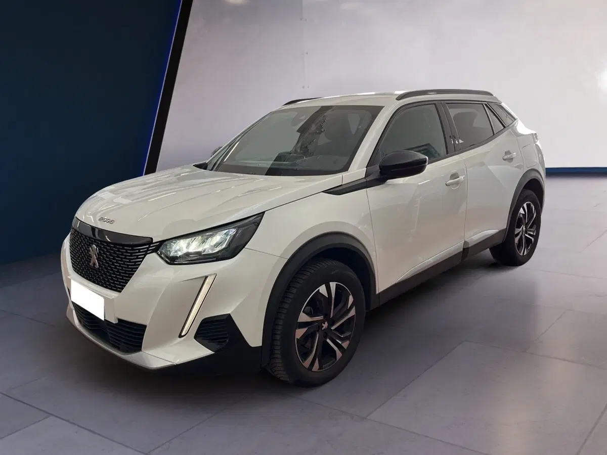 Peugeot 2008 usata a Torino (3)