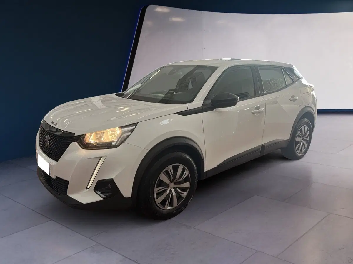 Peugeot 2008 usata a Torino (2)
