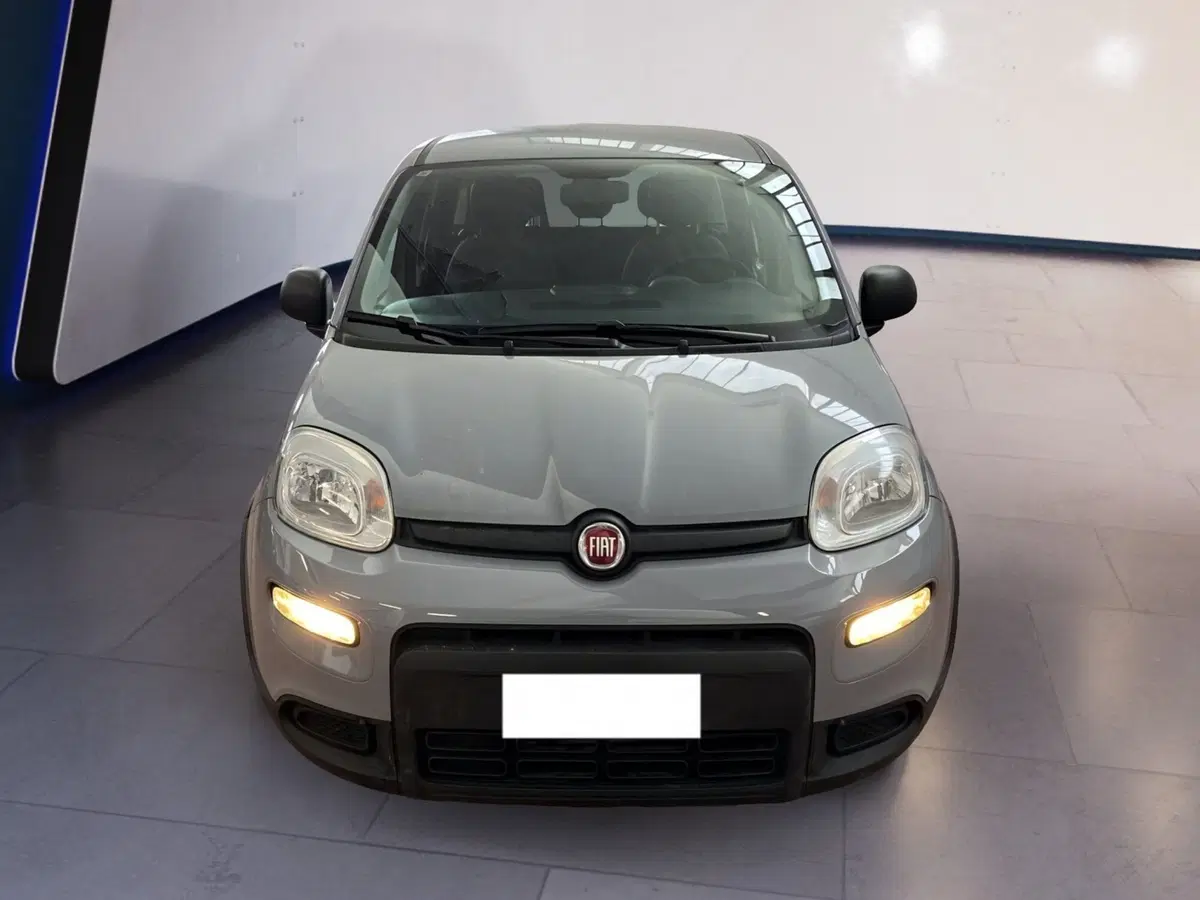 Fiat Panda Cross usata a Torino
