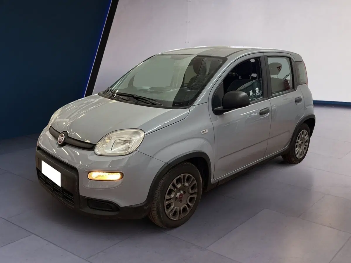 Fiat Panda Cross usata a Torino (3)