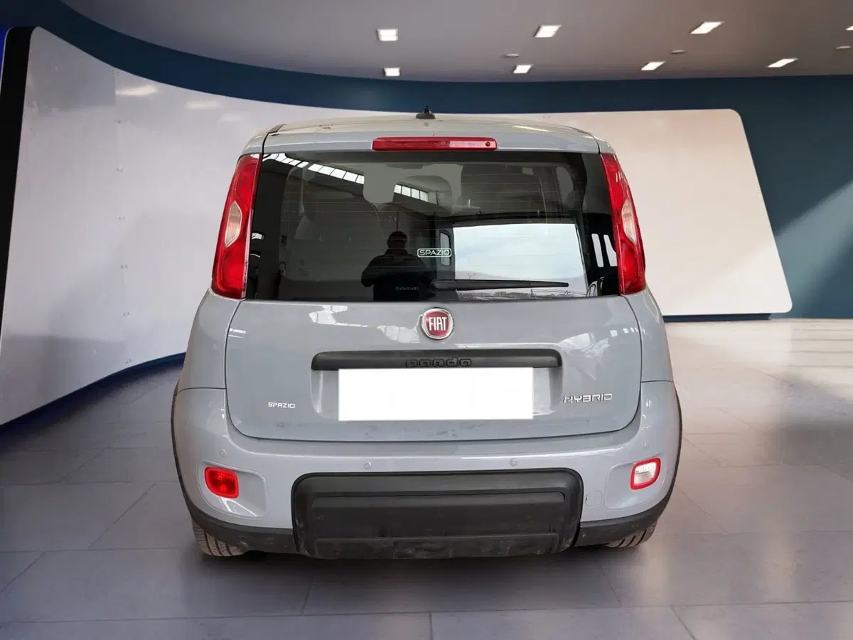 Fiat Panda Cross usata a Torino (5)