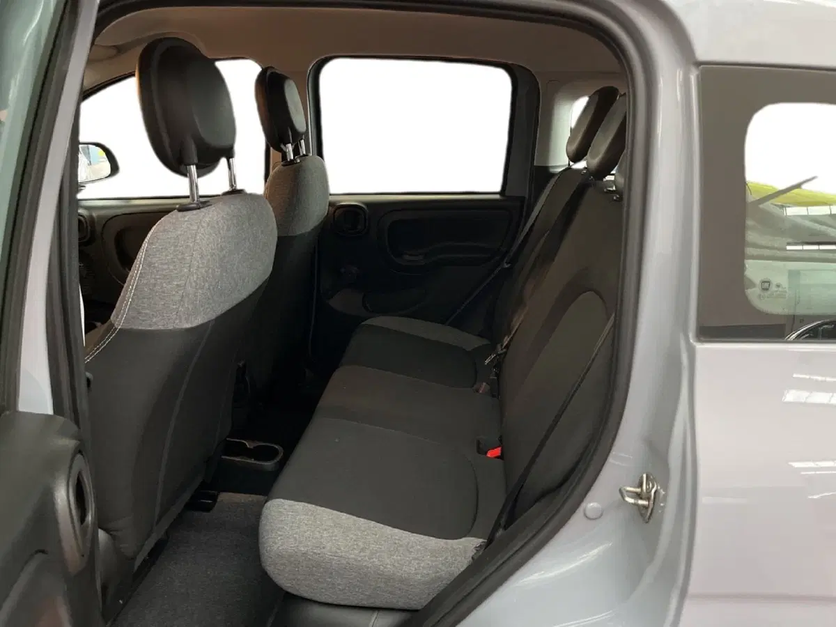 Fiat Panda Cross usata a Torino (7)