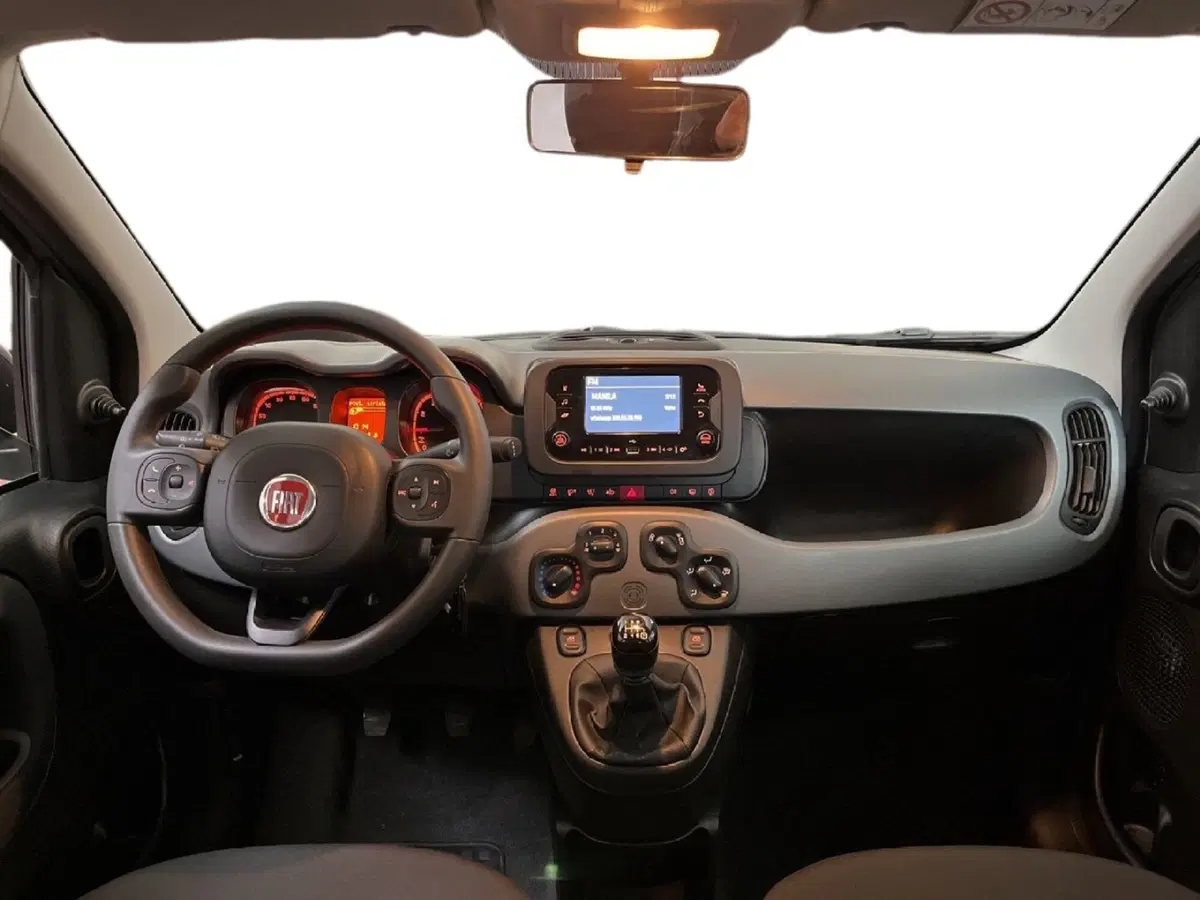Fiat Panda Cross usata a Torino (9)