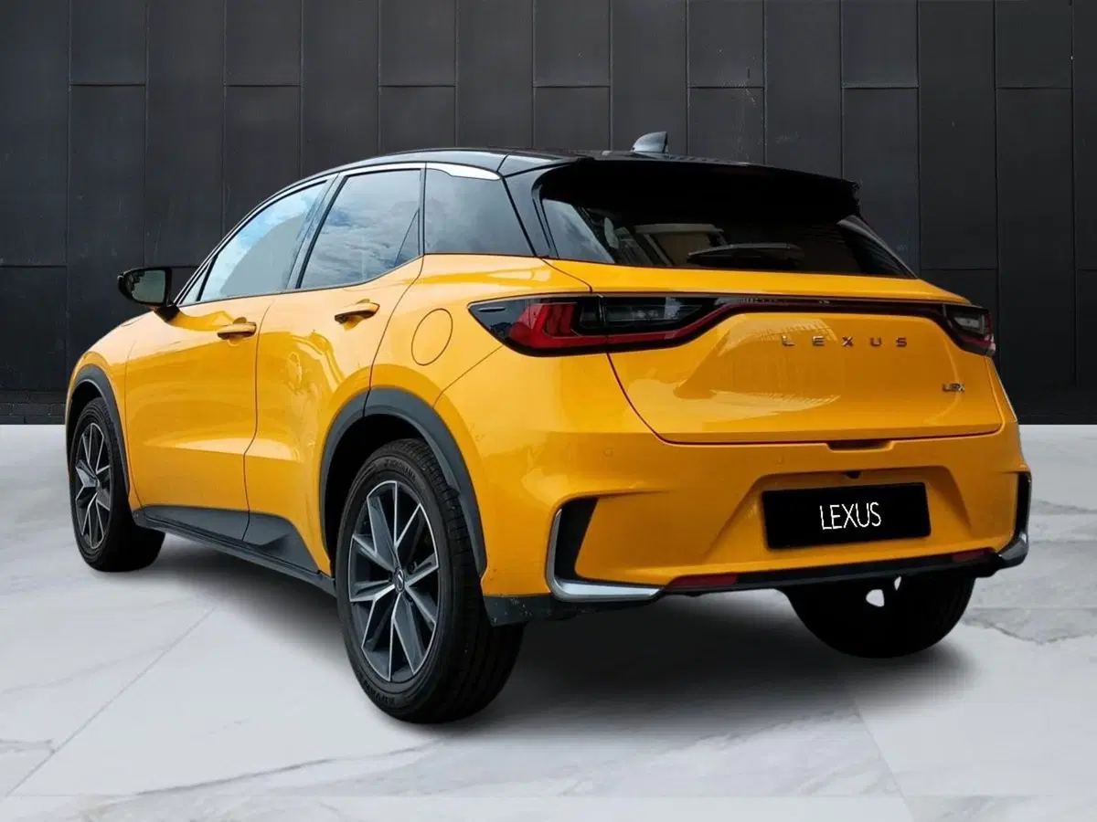 Lexus LBX usata a Milano (4)