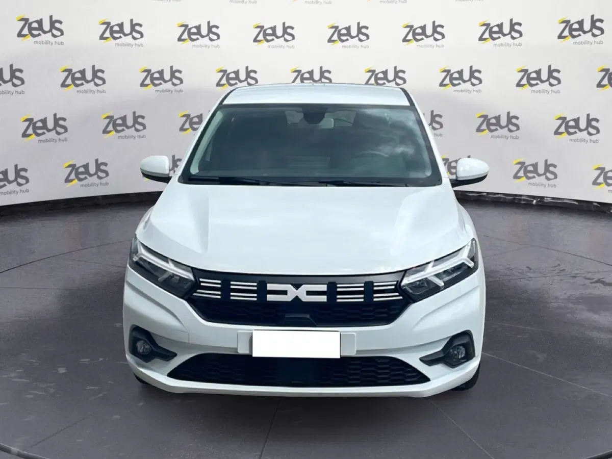 Dacia Sandero usata a Bologna (2)