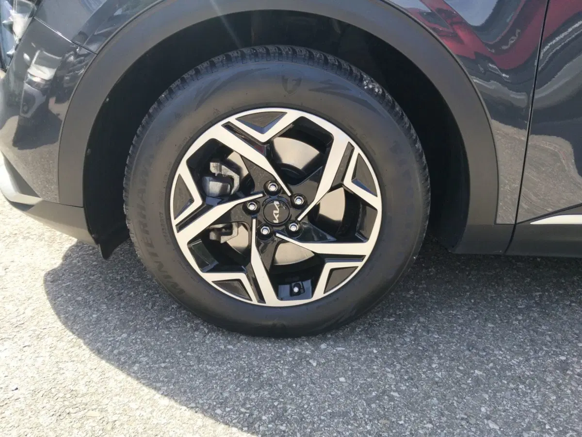 Kia Sportage usata a Ravenna (10)