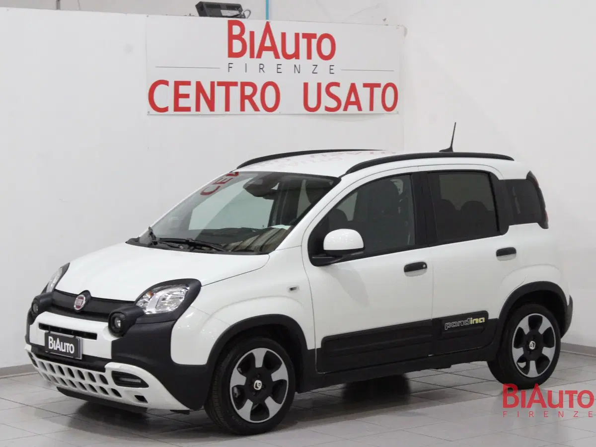 Fiat Pandina usata a Firenze