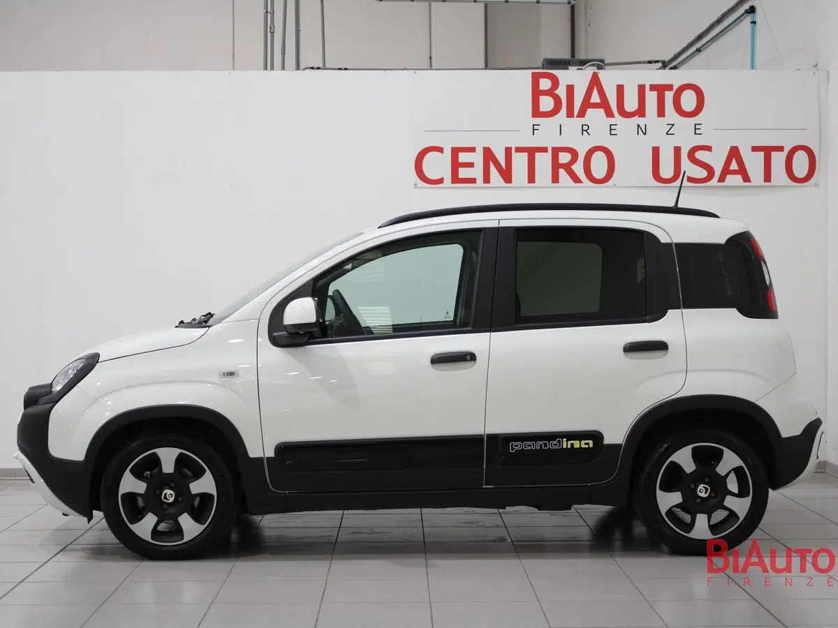 Fiat Pandina usata a Firenze (19)
