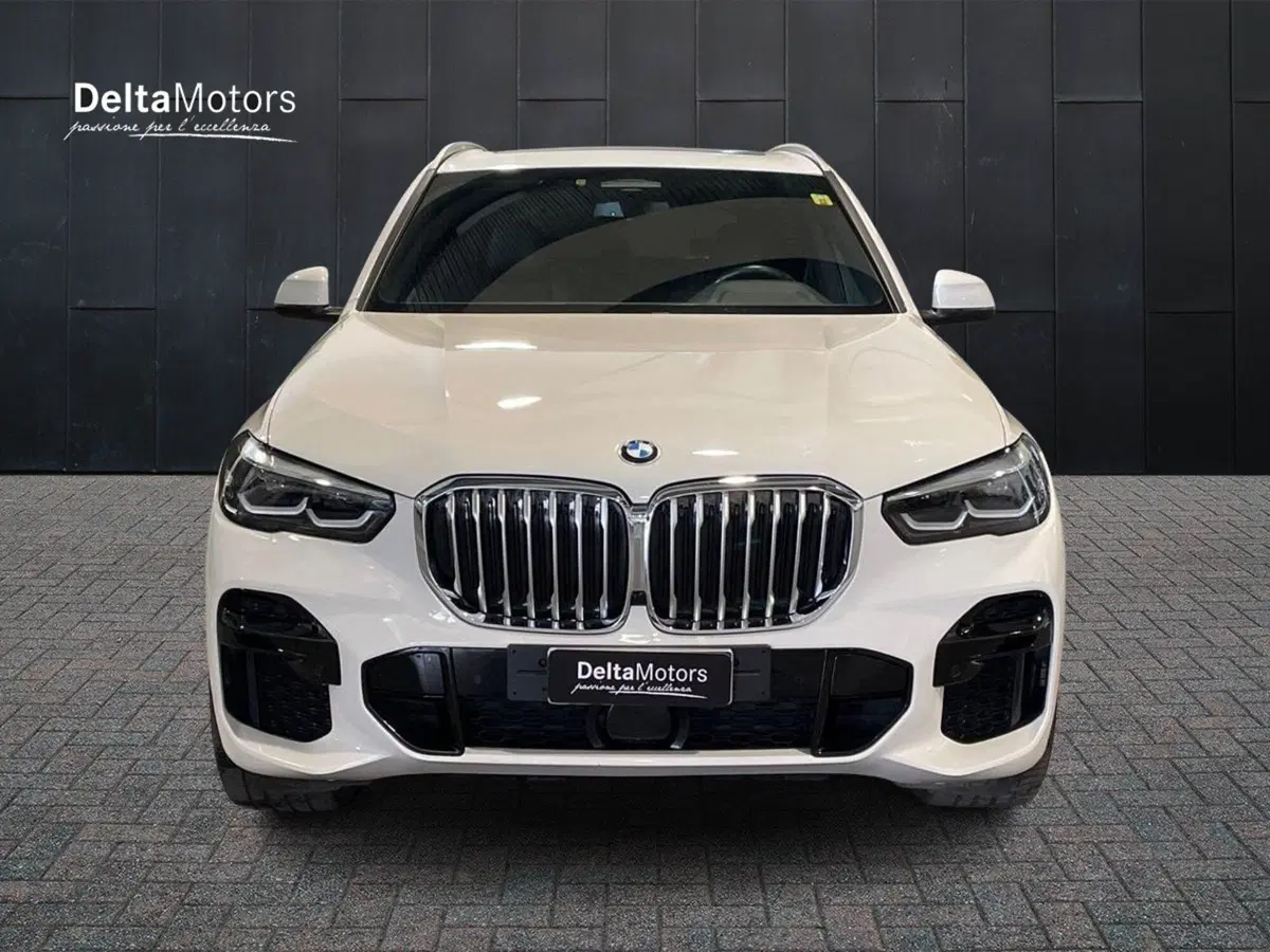 BMW X5 usata a Ancona (2)