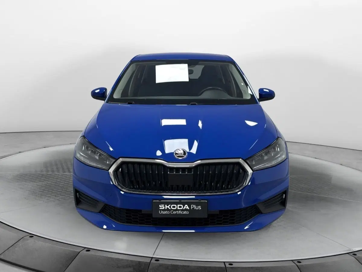 Skoda Fabia usata a Varese (2)
