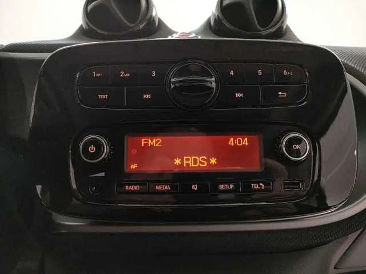 smart Fortwo usata a Teramo (18)